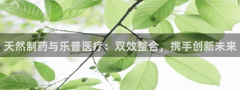 下载彩名堂预测计划软件安装