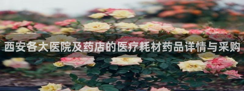 彩名堂人工预测免费计划