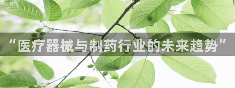 彩名堂还能用吗