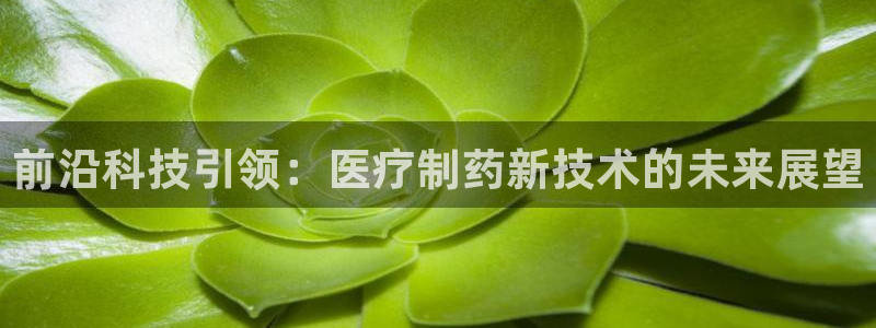 彩名堂预测官网