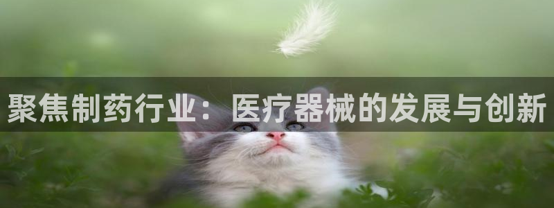 彩名堂官网计划怎么下载