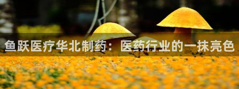 彩名堂客户端是永久免费吗安全吗
