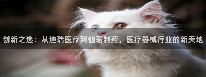 彩名堂好用还是千里马好用