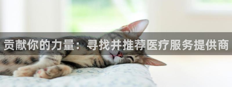 正规彩名堂官网计划01