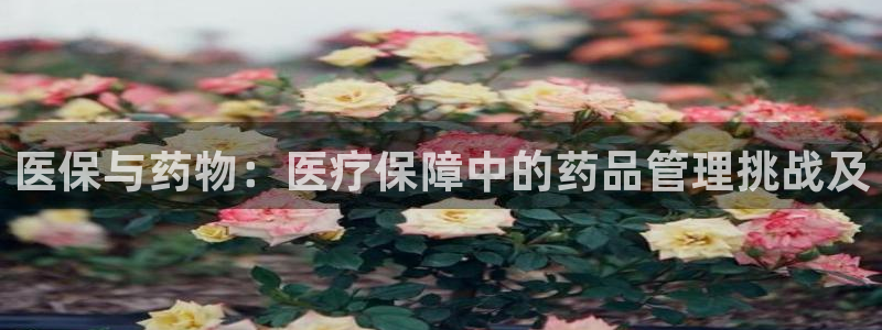 彩名堂人工计划客户端官网