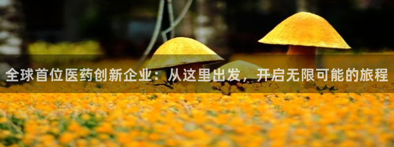 彩名堂排三