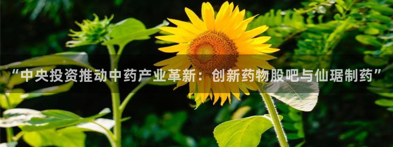 彩名堂最新计划app下载