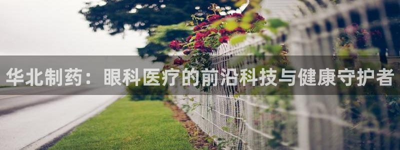 彩名堂双彩网