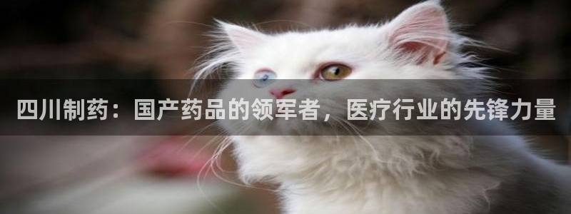 彩名堂5.0计划